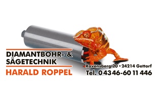 Logo von Diamantbohr- und Sägetechnik Harald Roppel e.K.