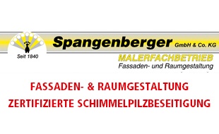 Logo von Malerfachbetrieb Spangenberger GmbH