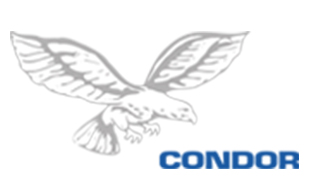 Logo von CONDOR Schutz- und Sicherheitsdienst GmbH