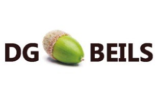 Logo von DG Beils GmbH