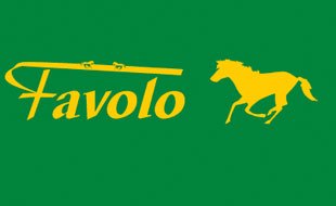Logo von Favolo Horse and Life Store