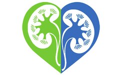 Logo von Gemeinschaftspraxis Für Nieren- und Hochdruckkrankheite Lesch - Tartakowski - Ickerott