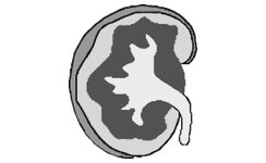 Logo von Reinsch Bernadette Dr. med.