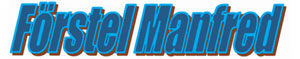 Logo von Förstel Manfred KFZ-Sachverständiger