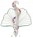 Logo von Dr. med. Ralf Klostermann Privatpraxis für Naturheilverfahren