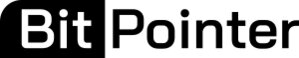 Logo von BitPointer GmbH