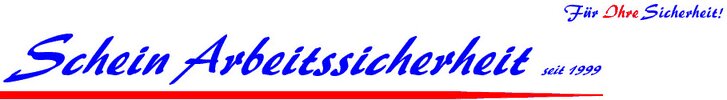 Logo von Schein Arbeitssicherheit seit 1999