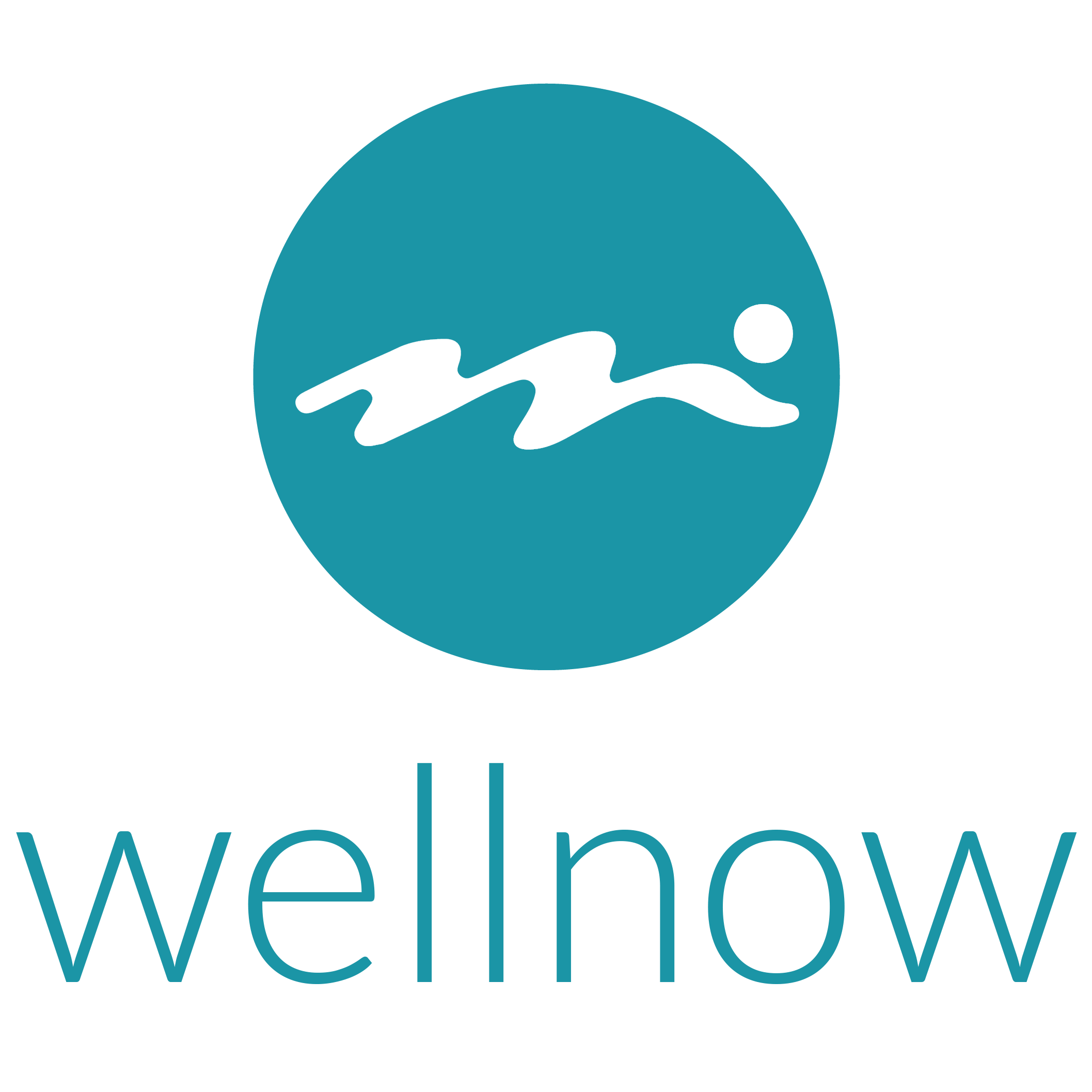 Logo von Wellnow - mobile Massage