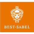 Logo von BEST-Sabel Berufsakademie