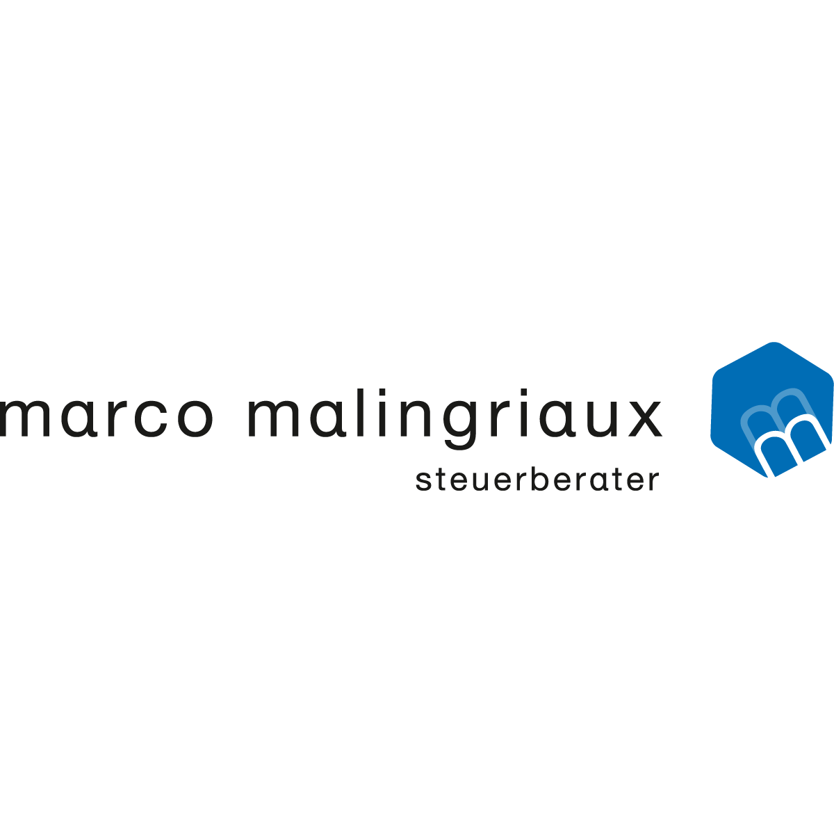 Logo von Steuerberater Marco Malingriaux
