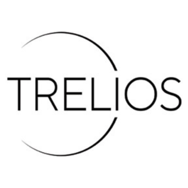 Logo von Trelios SEO, Webdesign & Werbeagentur Hannover