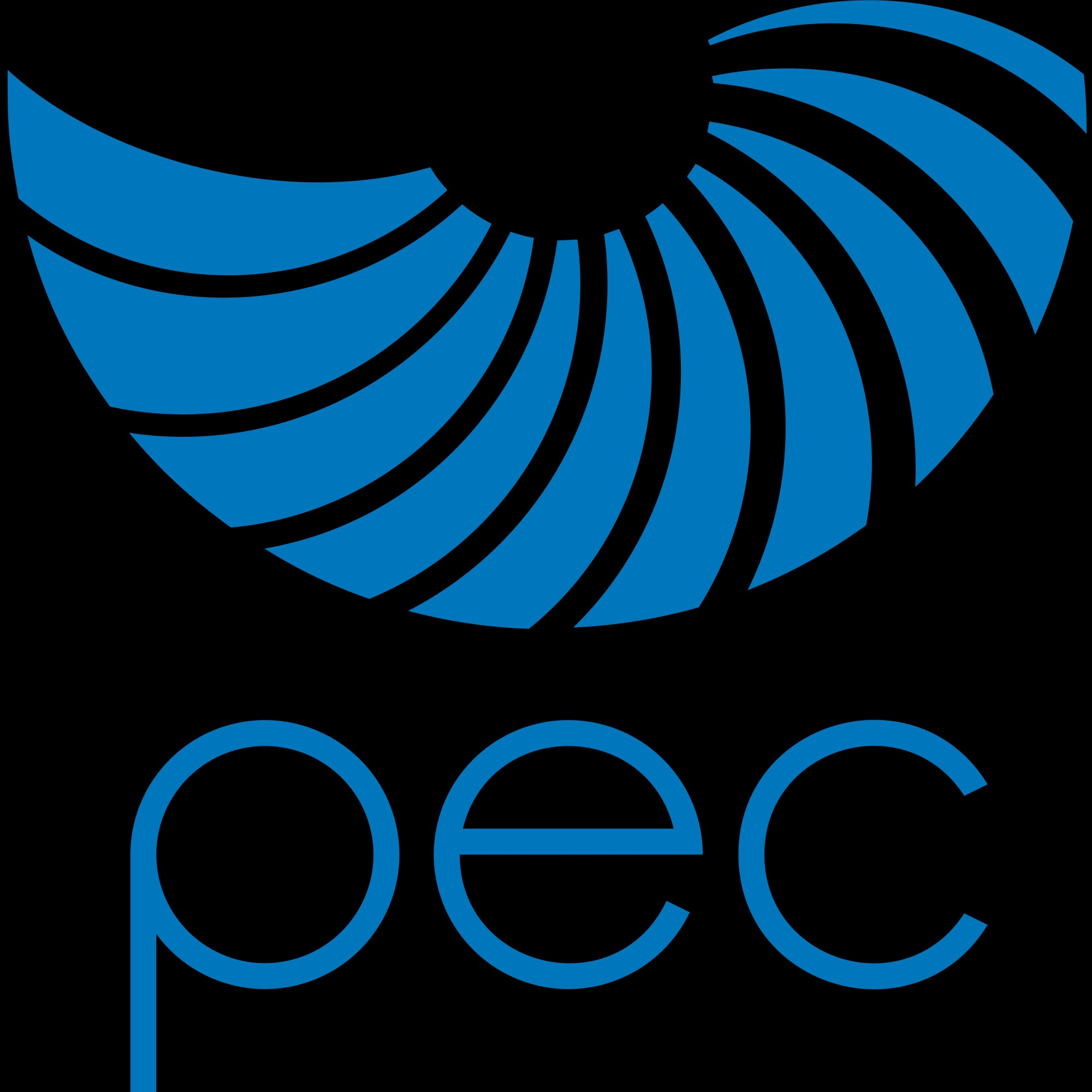 Logo von P. E. Concepts GmbH
