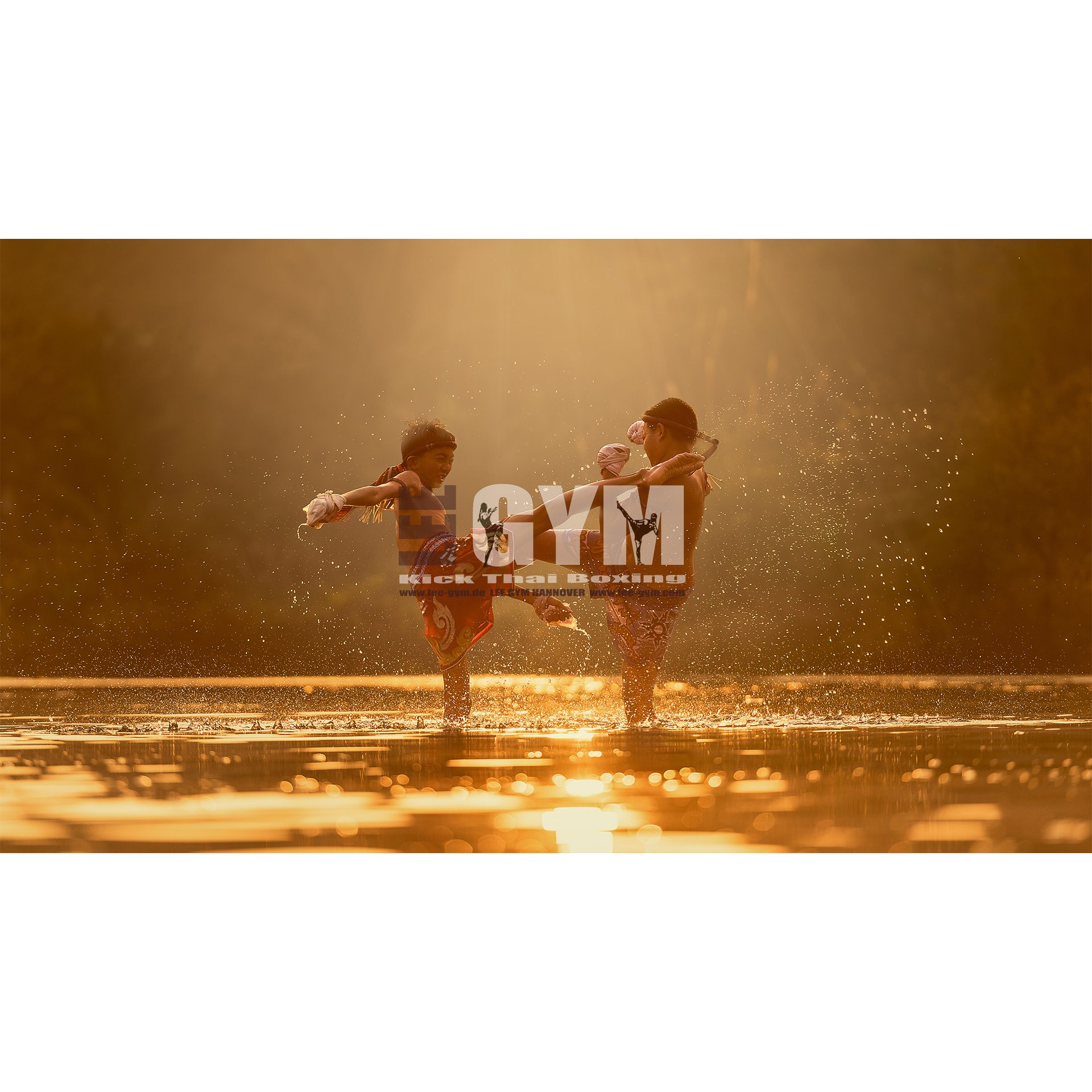 Logo von Lee Gym Kampfsport und Functional Training