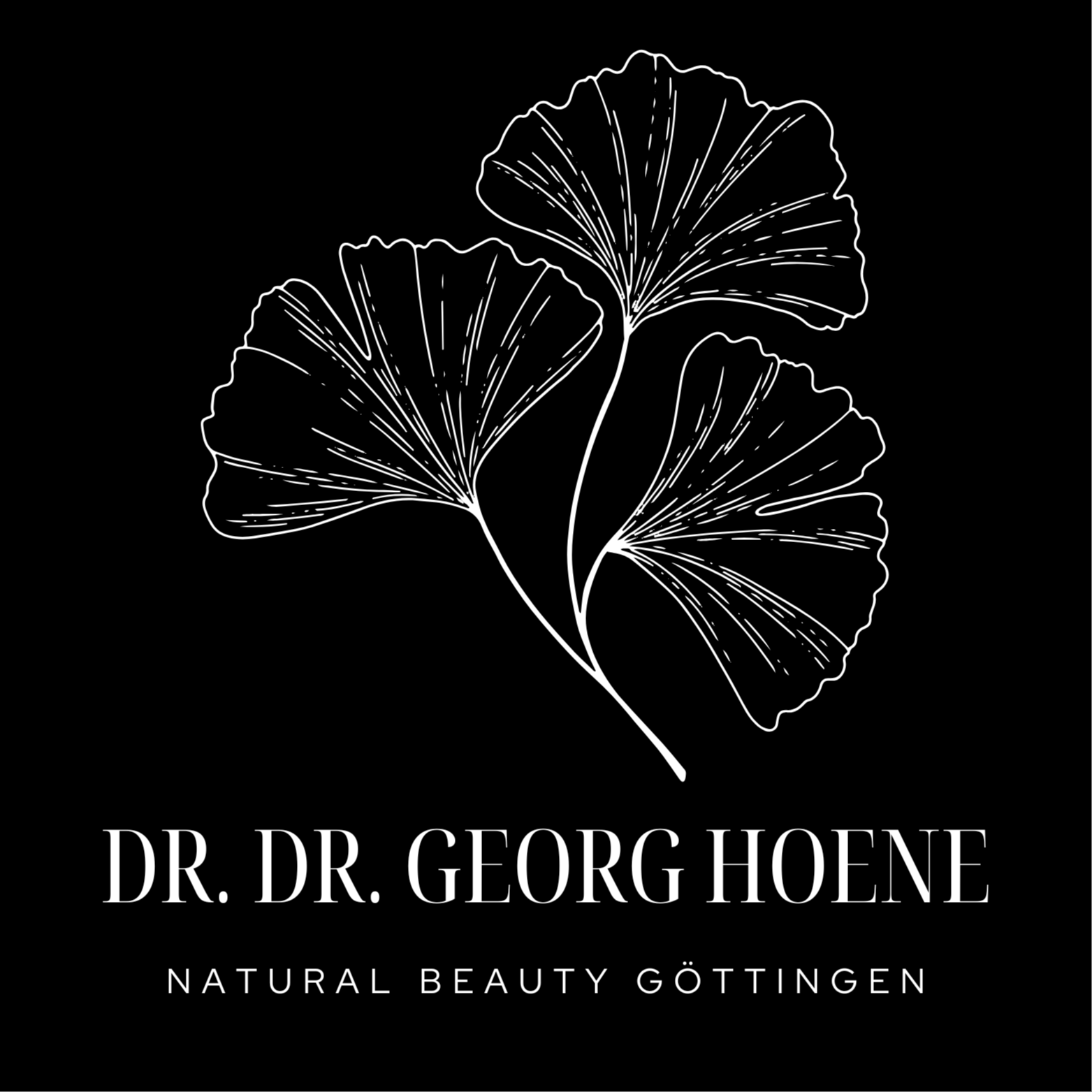 Logo von Hoene Aesthetik