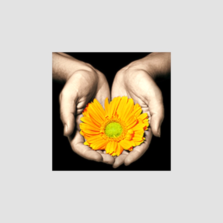 Logo von Sabine Brailow Praxis für Ergotherapie in Oldenburg