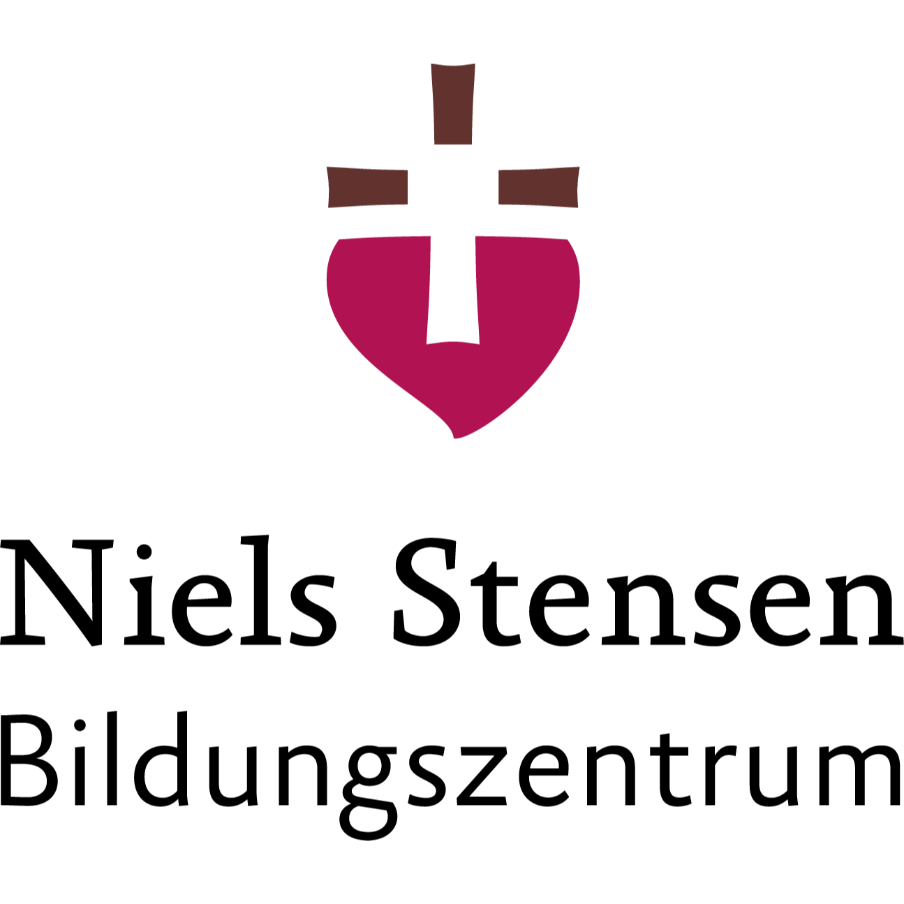 Logo von Niels Stensen Bildungszentrum