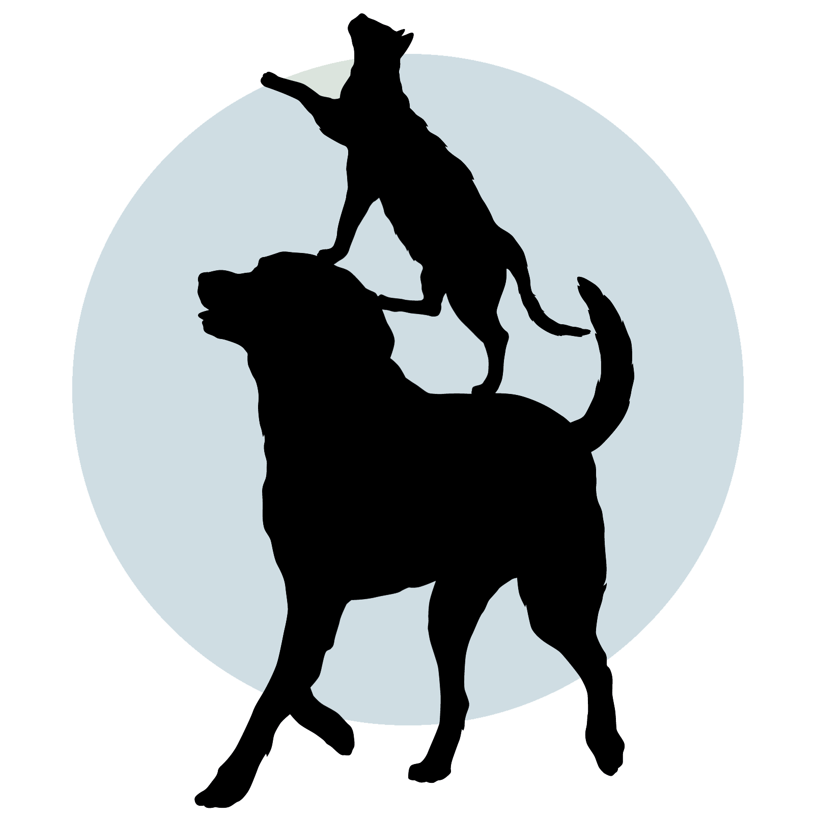 Logo von Dr. Abdul Rasool Al-Ghobainy
