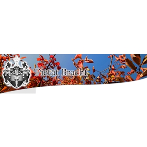 Logo von Bestattungen Pietät Bracht GmbH