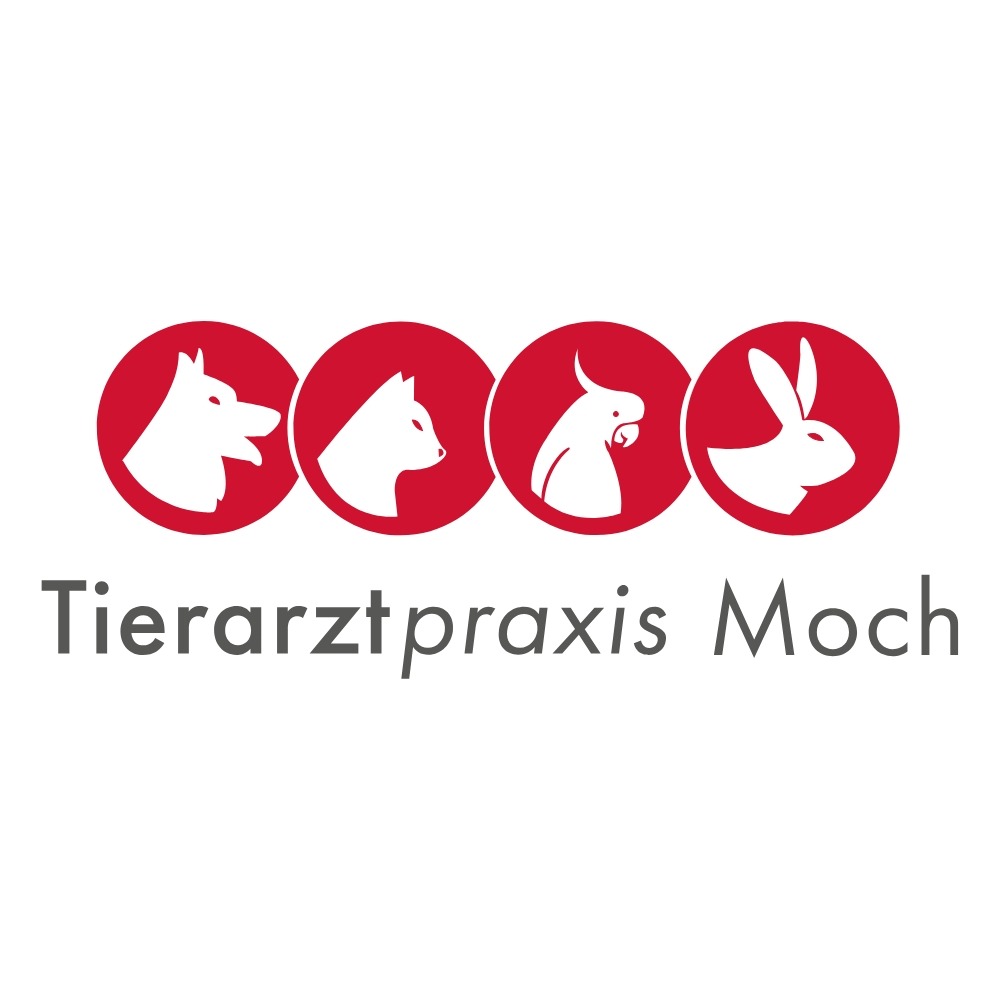 Logo von Tierarzt Moch Waghäusel, Tierarztpraxis Moch