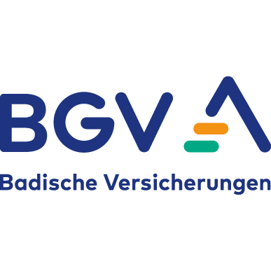 Logo von BGV Vertrauensmann Gerhard Bräunling