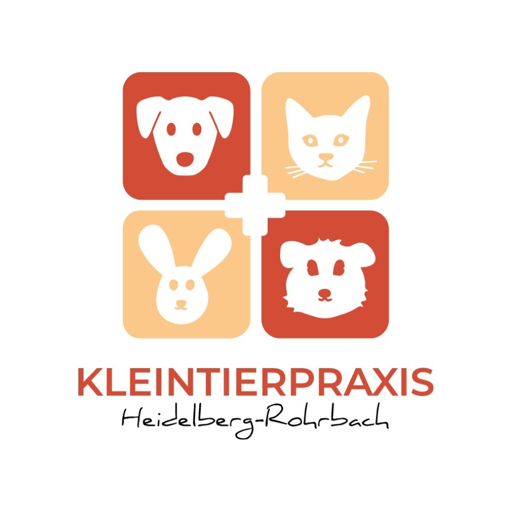 Logo von Tierarzt Bay Heidelberg, Kleintierpraxis Heidelberg-Rohrbach