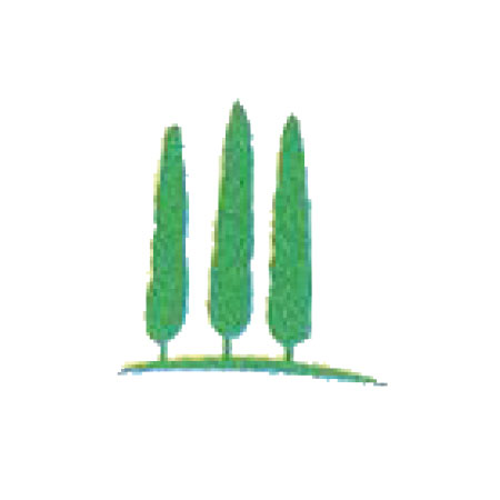 Logo von Park-Apotheke Inh. Anke Portisch e. Kfr.
