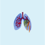 Logo von Lungenfachärztliche Allergologische Gemeinschaftspraxis