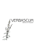 Logo von VERBASCUM Blumen im Vauban