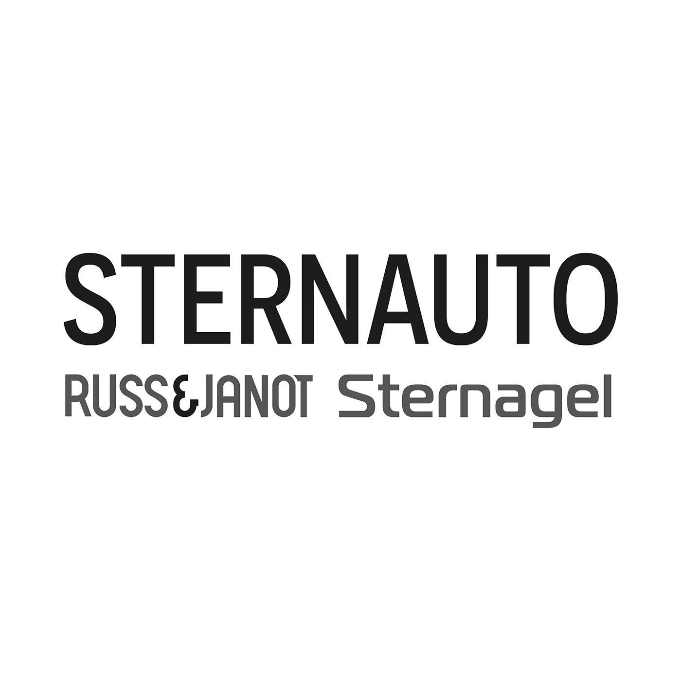 Logo von STERNAUTO Leipzig