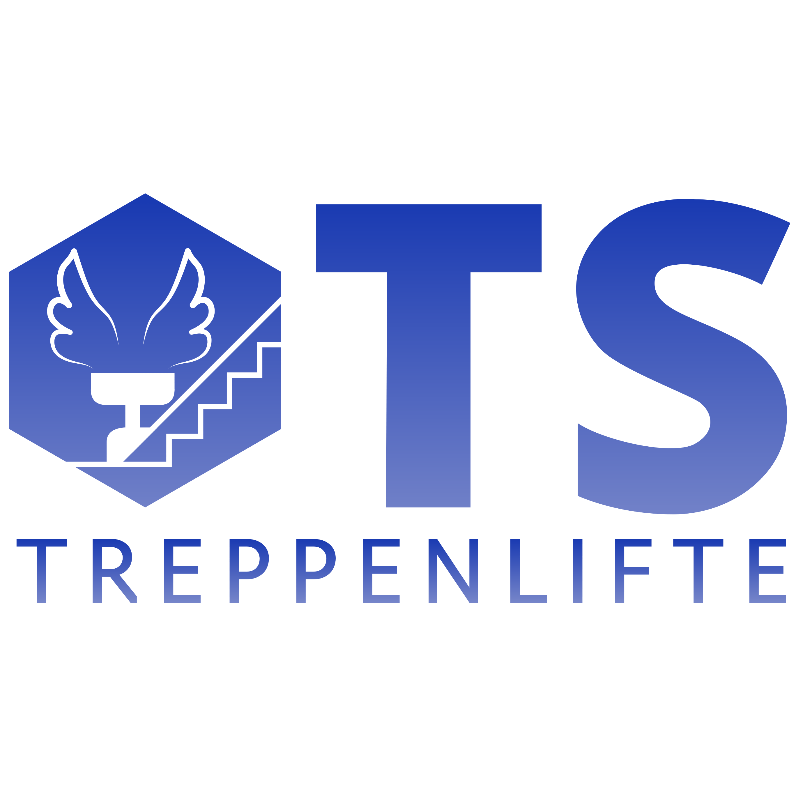 Logo von TS Treppenlift | Rollstuhllift-Partner | Liftsysteme Düsseldorf