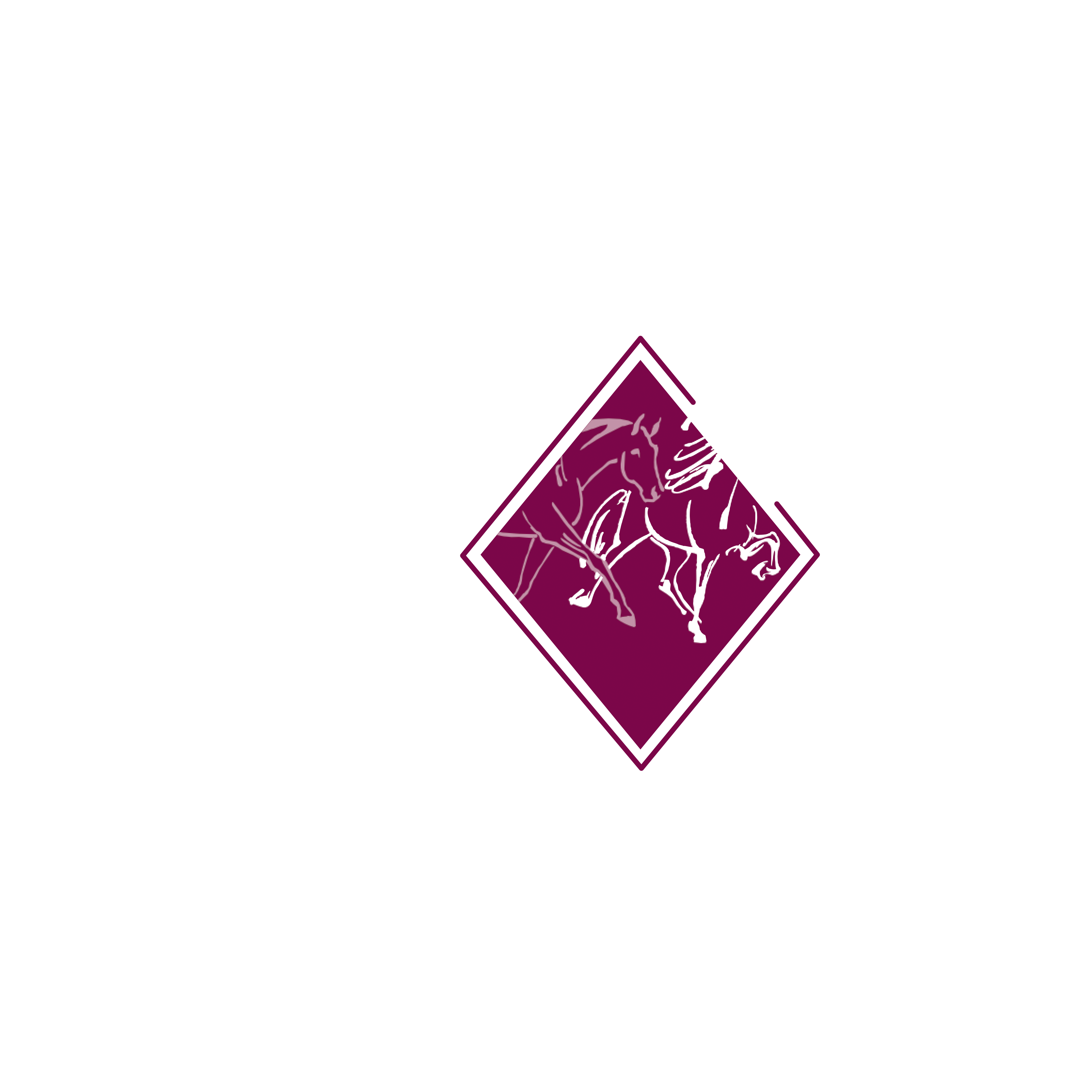 Logo von Sabine Hartwich | HORSE bodyforming | Pferdebewegung neu verstehen