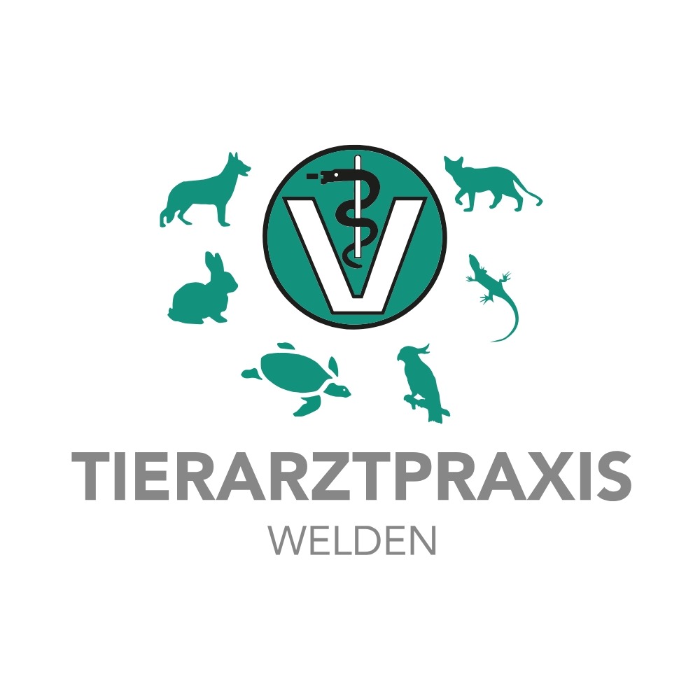 Logo von Tierarzt Dommer Welden, Tierarztpraxis Welden