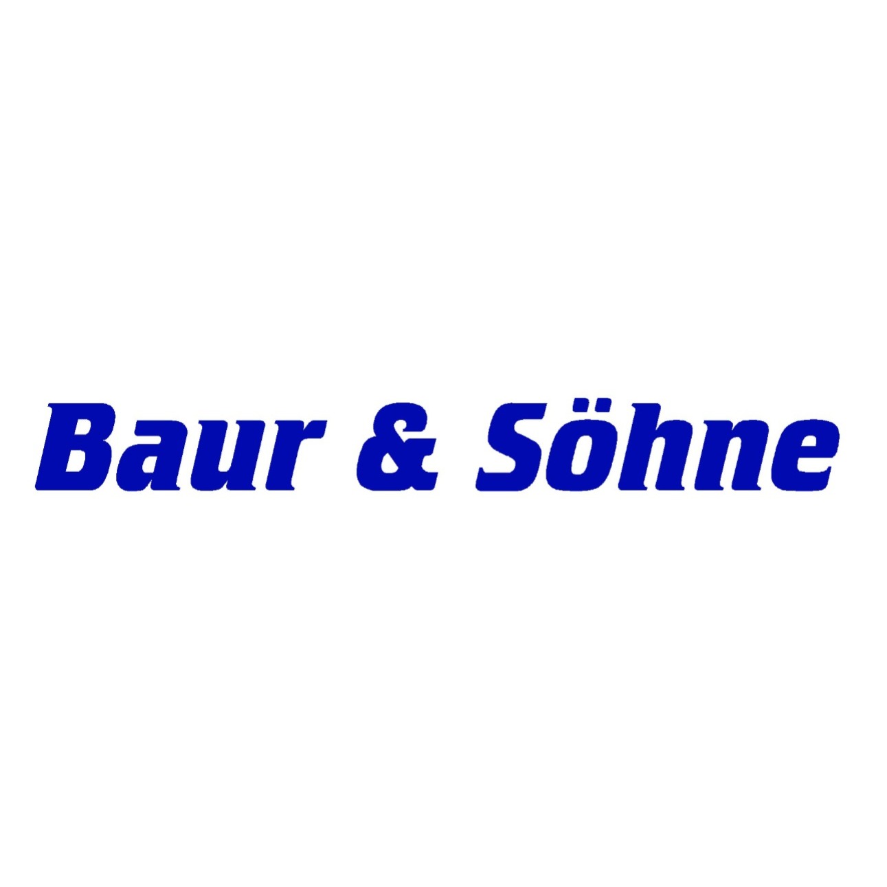 Logo von Baur & Söhne GmbH