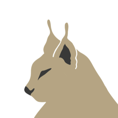 Logo von Werbeluchs® | Top Werbeagentur – Webdesign, SEO, Marketing & Digital Design | Regensburg