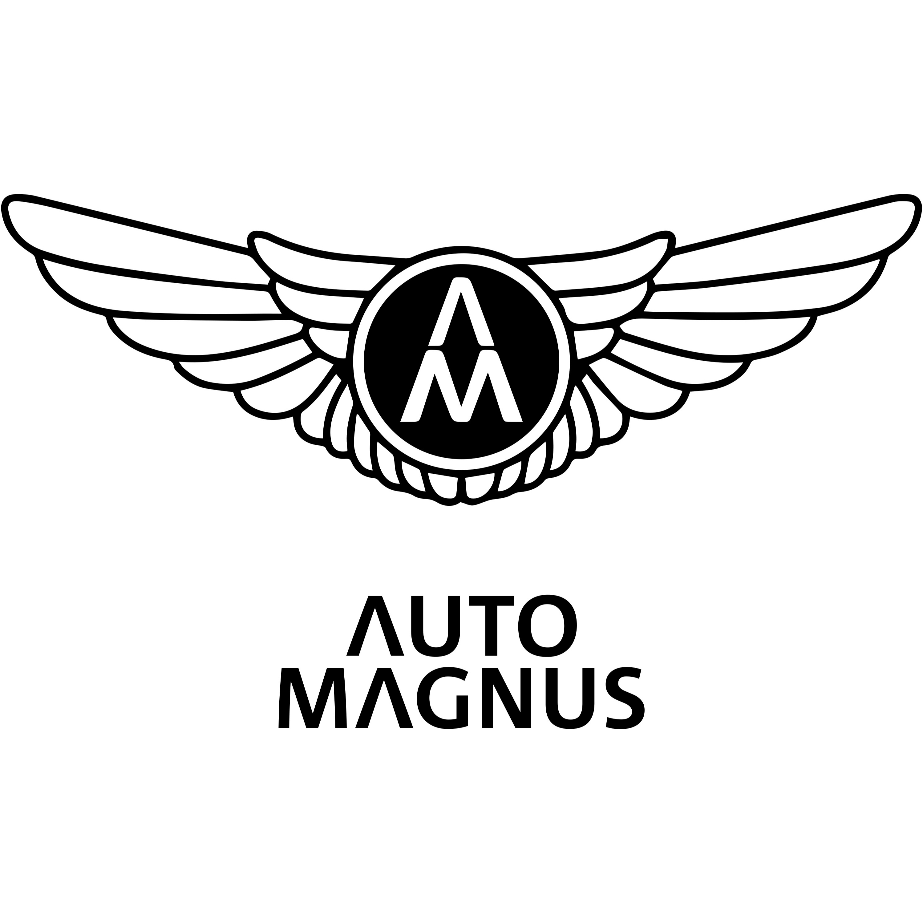 Logo von Auto Magnus GmbH