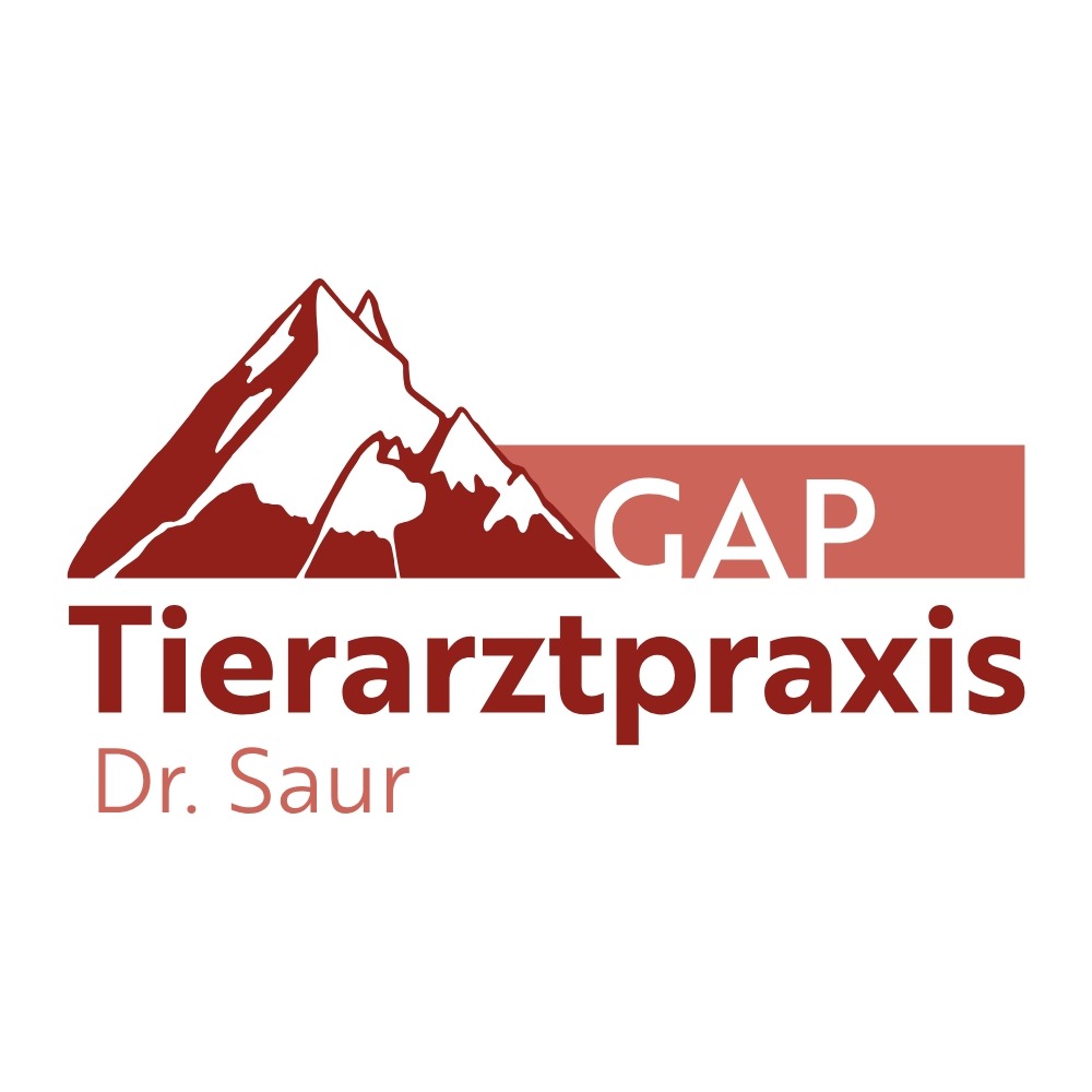 Logo von Tierarzt Saur Garmisch-Partenkirchen, Tierarztpraxis Dr. Saur