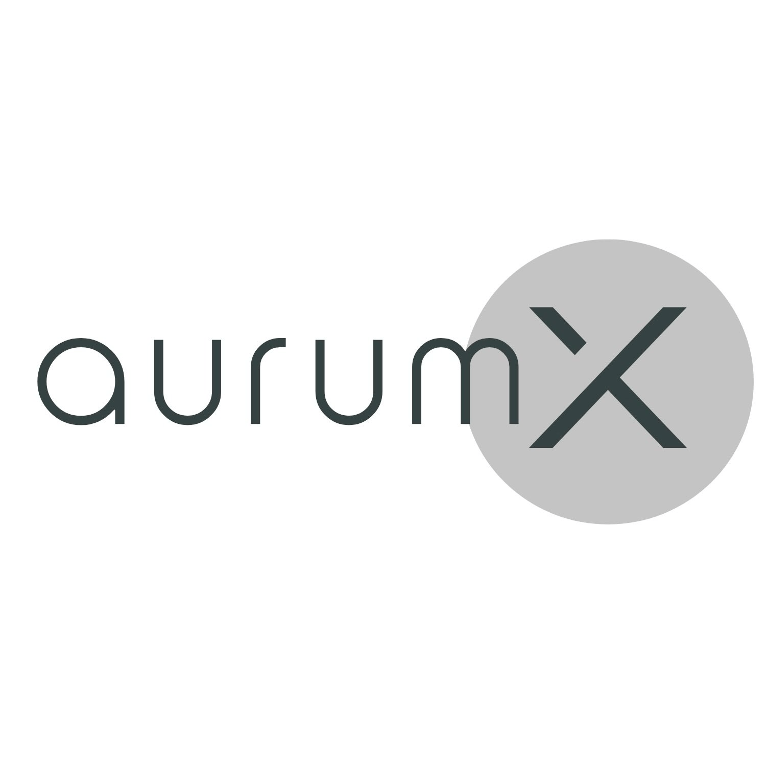 Logo von aurum X GmbH