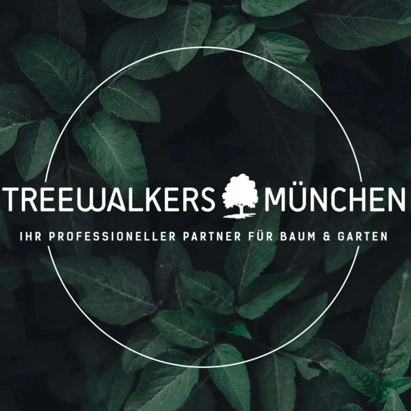 Logo von TREEWALKERS München