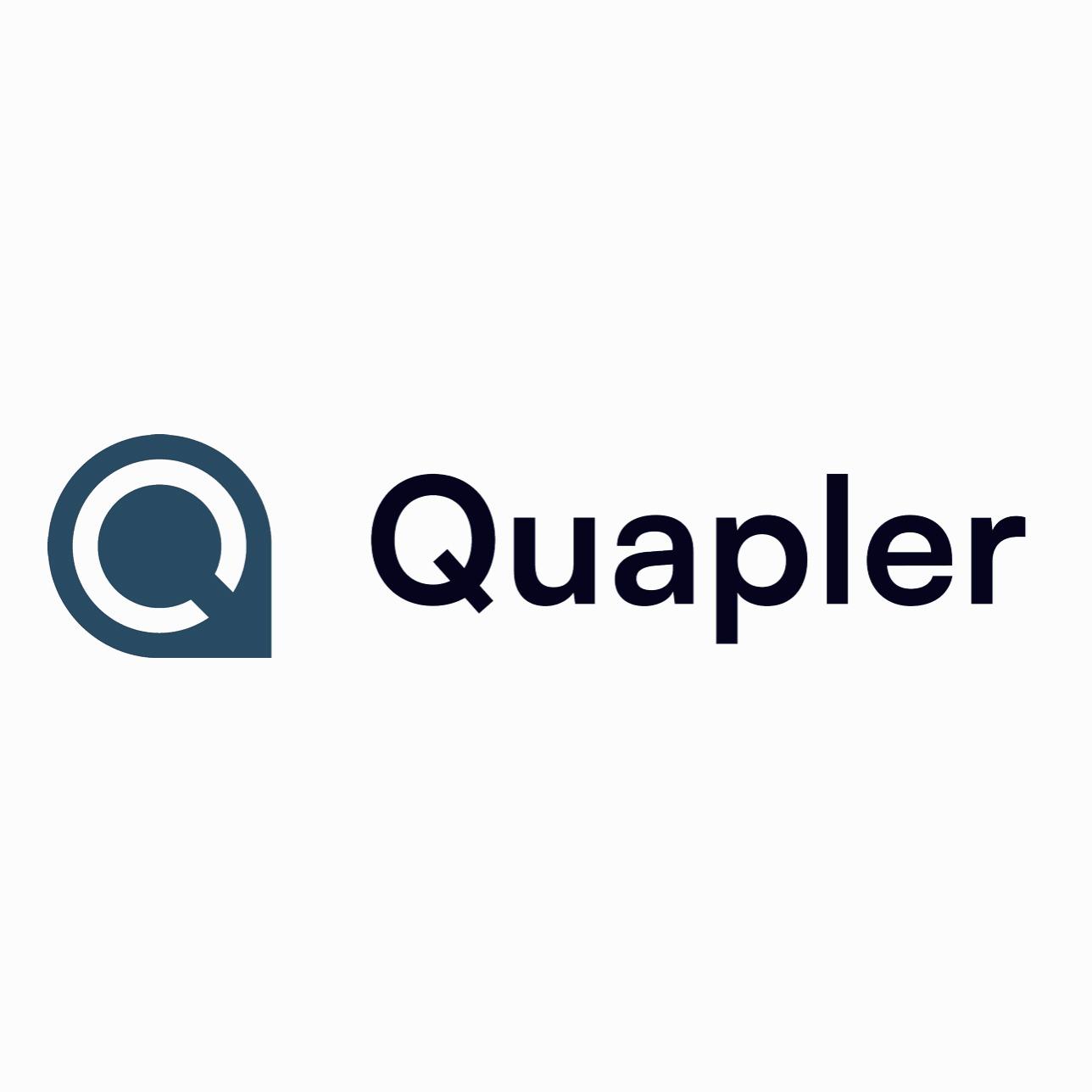 Logo von Software Entwicklung Quapler GmbH & Co. KG (Agentur)