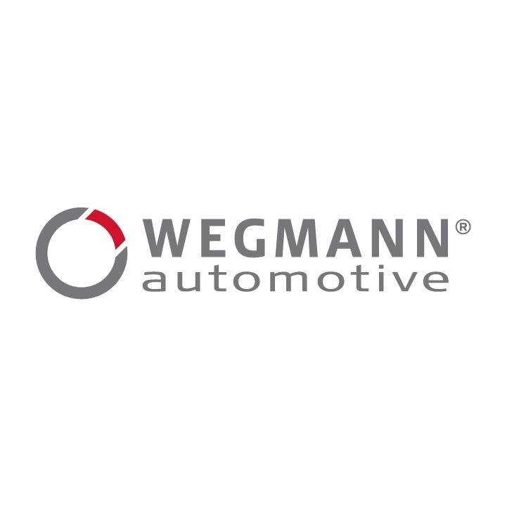 Logo von WEGMANN automotive GmbH