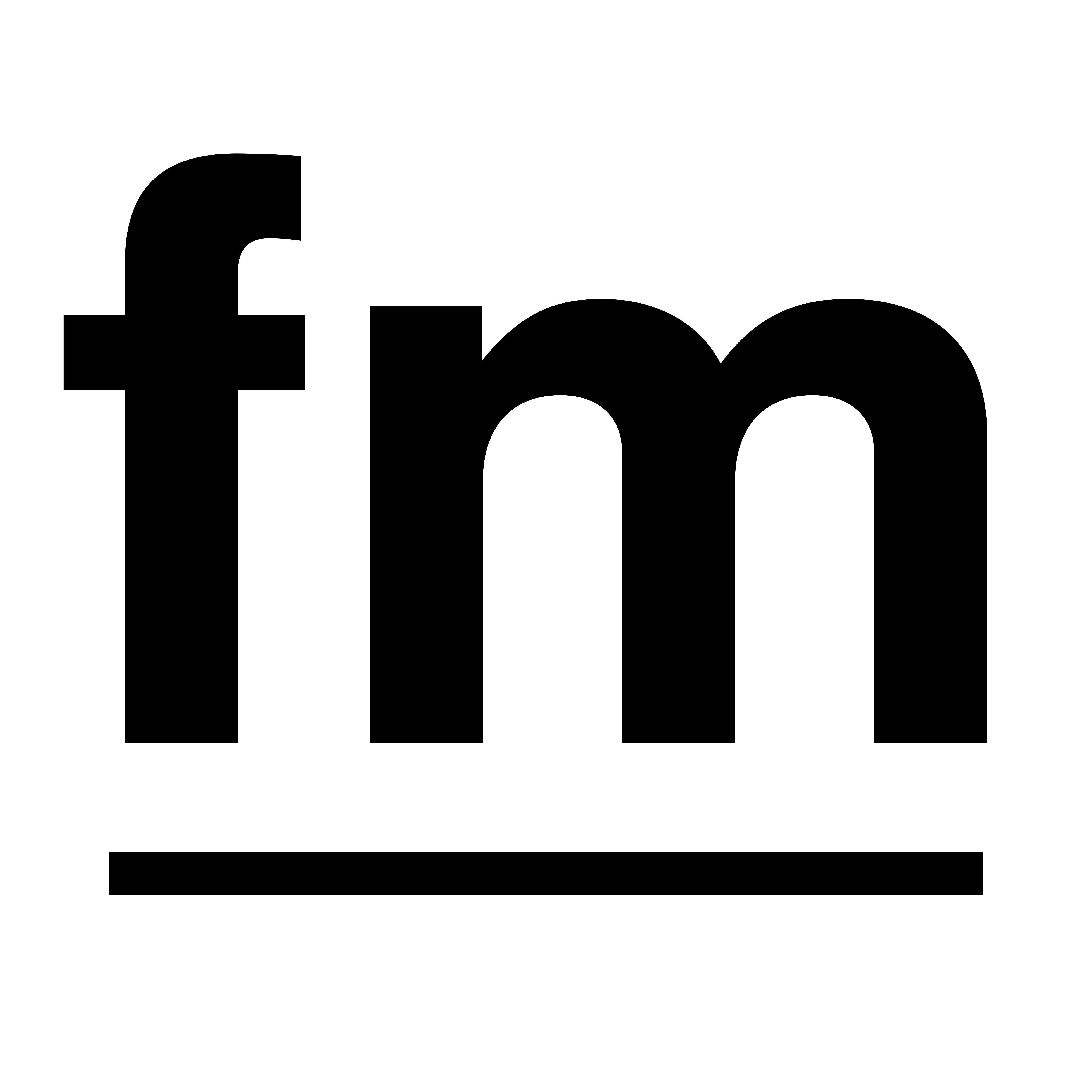 Logo von FM-NETZ