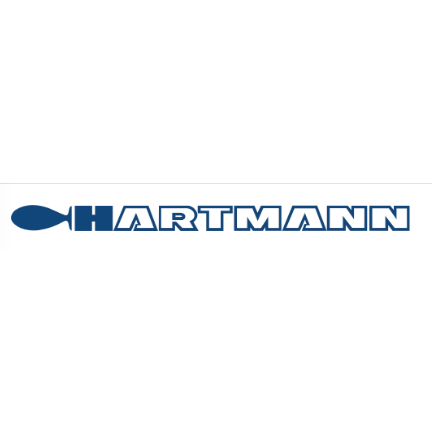 Logo von Malerbetrieb Hartmann GmbH & Co. KG Maler- und Stuckgeschäft