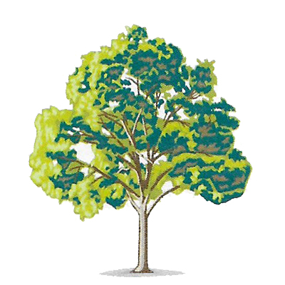 Logo von Garten- & Landschaftspflege Fa. Torsten Marks