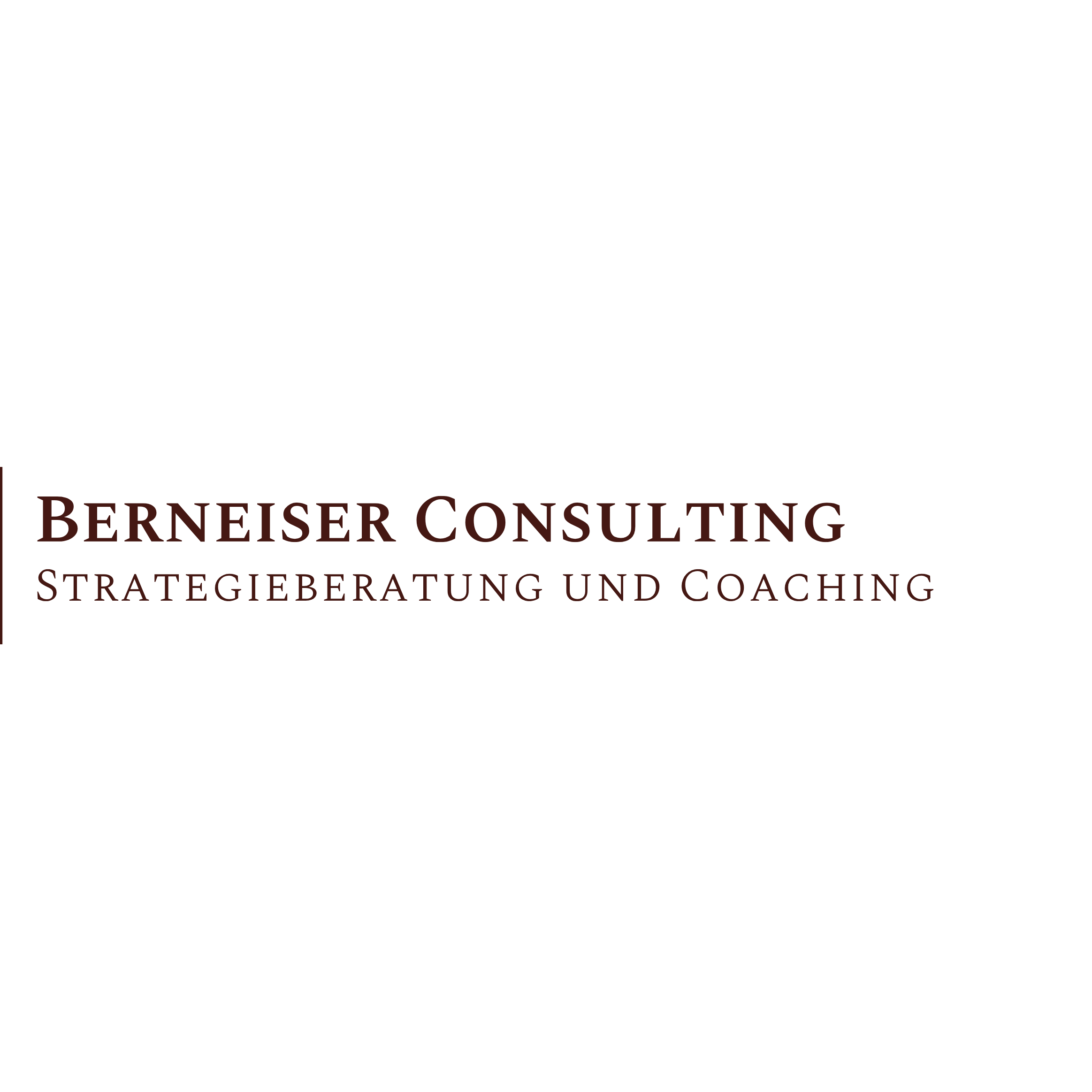Logo von Berneiser Consulting Strategieberatung und Coaching