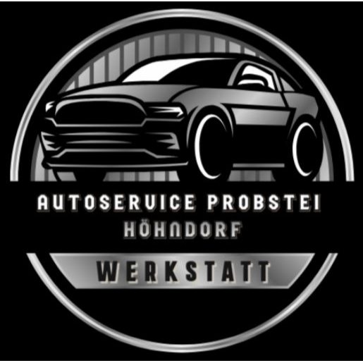 Logo von ASP Auto Service Probstei GmbH