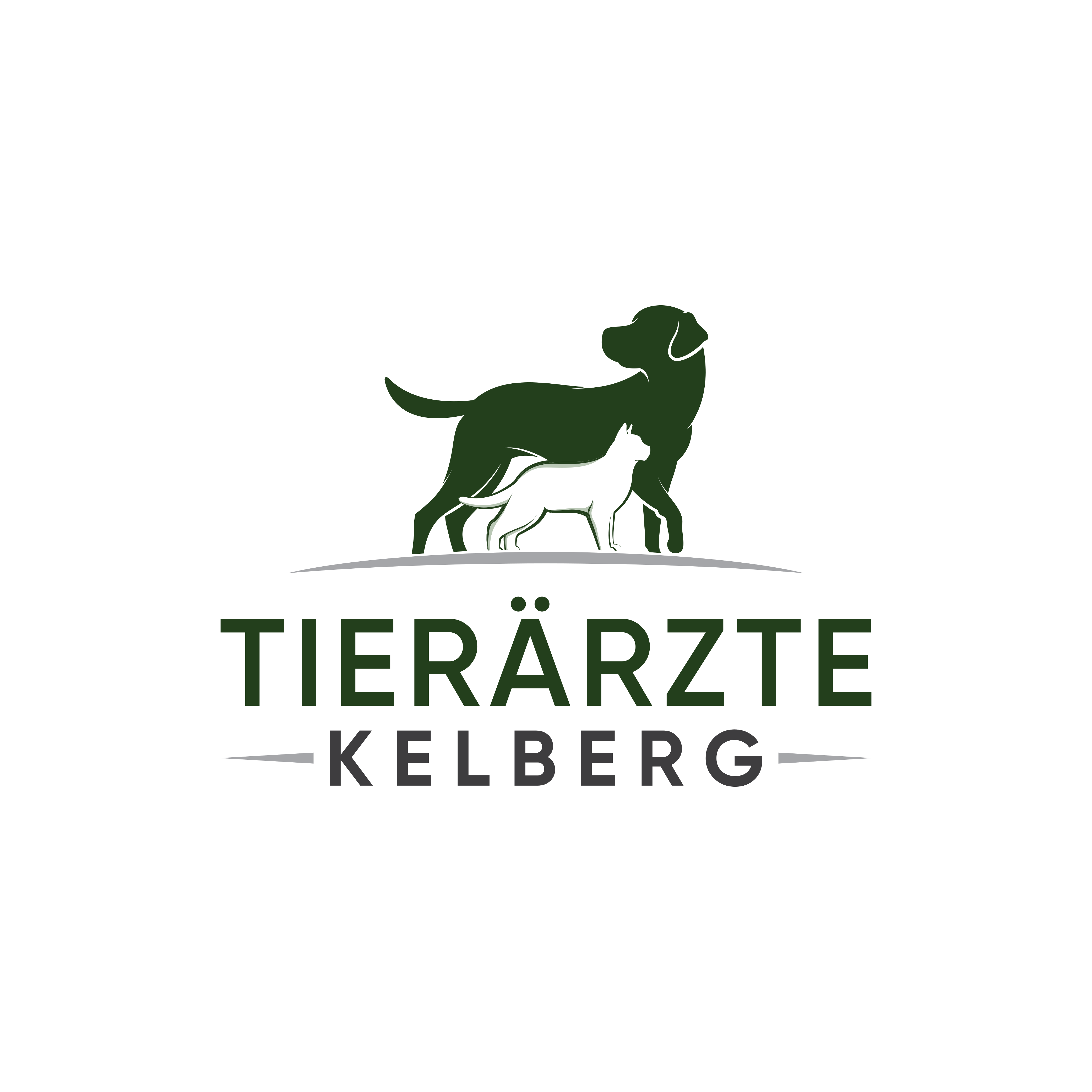 Logo von Tierärzte Kelberg