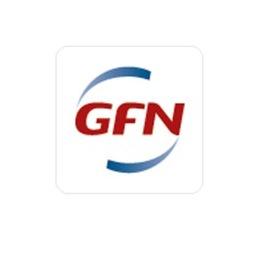 Logo von GFN Consulting GmbH
SAP® Competence Center