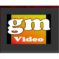 Logo von gm-video - Digitalisierung