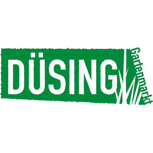 Logo von Düsing
