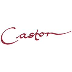 Logo von Wein- u. Sektgut Castor/ Gästehaus - Weinstube